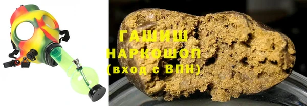 индика Володарск