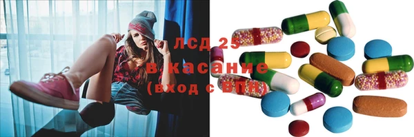 индика Володарск