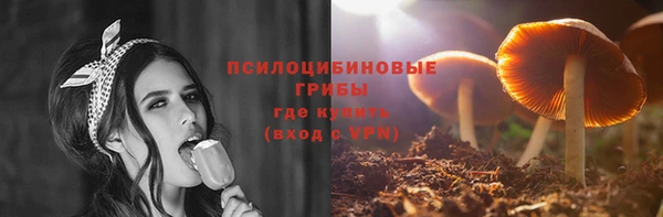 мдпв Волосово