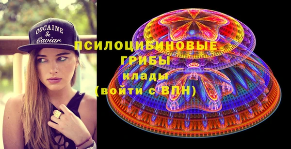 индика Володарск