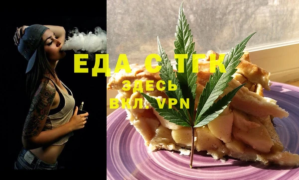 индика Володарск