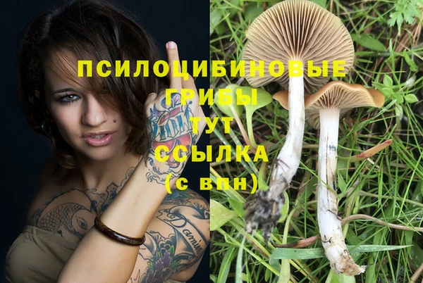 мдпв Волосово