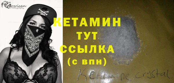 индика Володарск