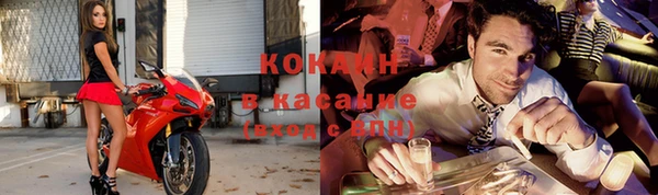 индика Володарск