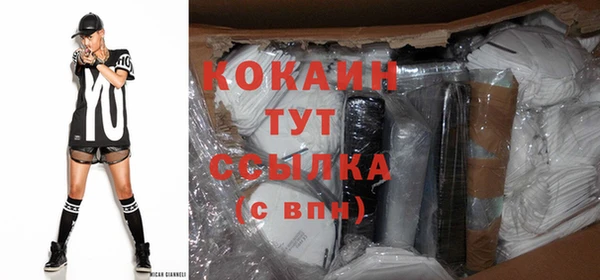 индика Володарск