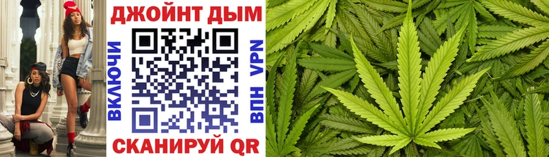 Каннабис сатива  Купить где  Нея 